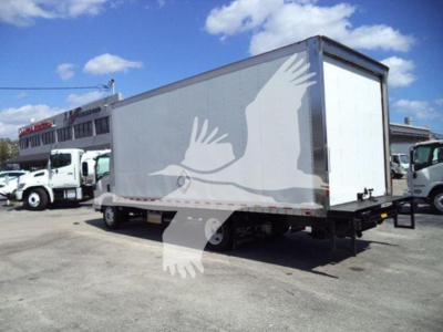 Isuzu NPR box truck with side graphic of a bird silhouette, right-side view showing cargo box and rear liftgate.