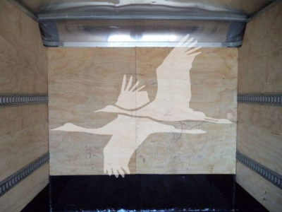 Isuzu NPR cargo box interior with wooden panels and metal rails; large white logo of flying birds on back panel.