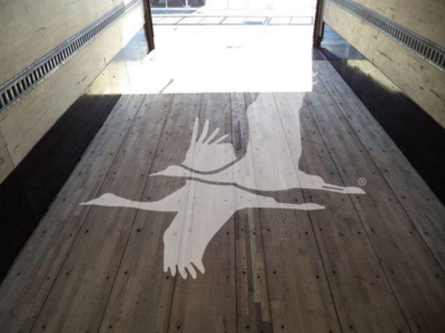 Truck cargo area with wooden floor and a large white bird logo (swooping seagull) painted on the floor, open rear doors.