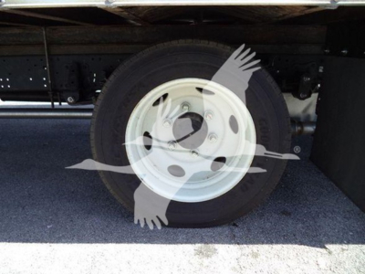Isuzu NPR wheel close-up showing steel rim and black tire under truck bed.
