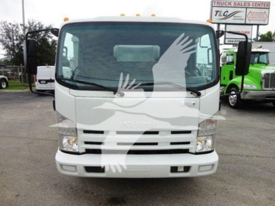Isuzu NQR dump truck front view showing windshield, grille, and headlights.