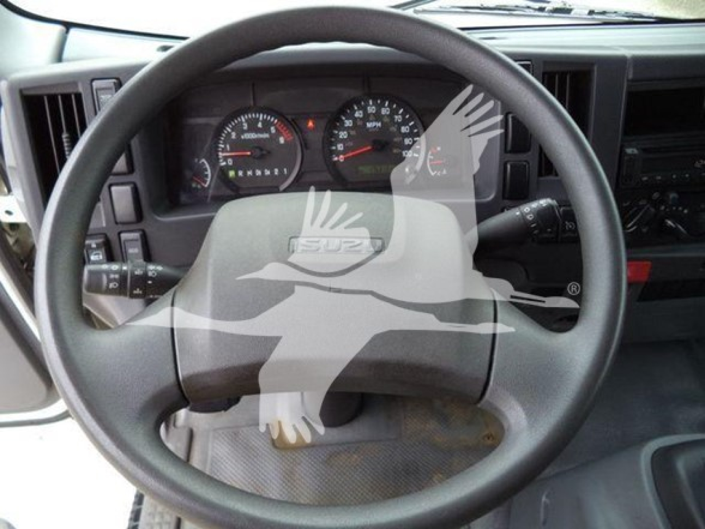 Isuzu NPR truck cabin steering wheel view showing dashboard gauges and pedals.