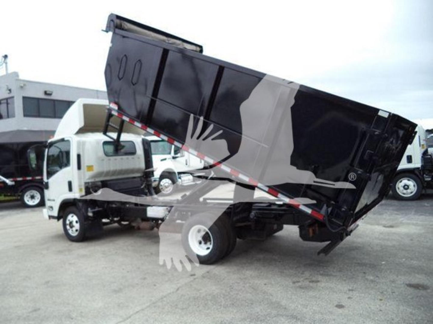 Dump truck bed tilted cab and Isuzu NPR style truck in background