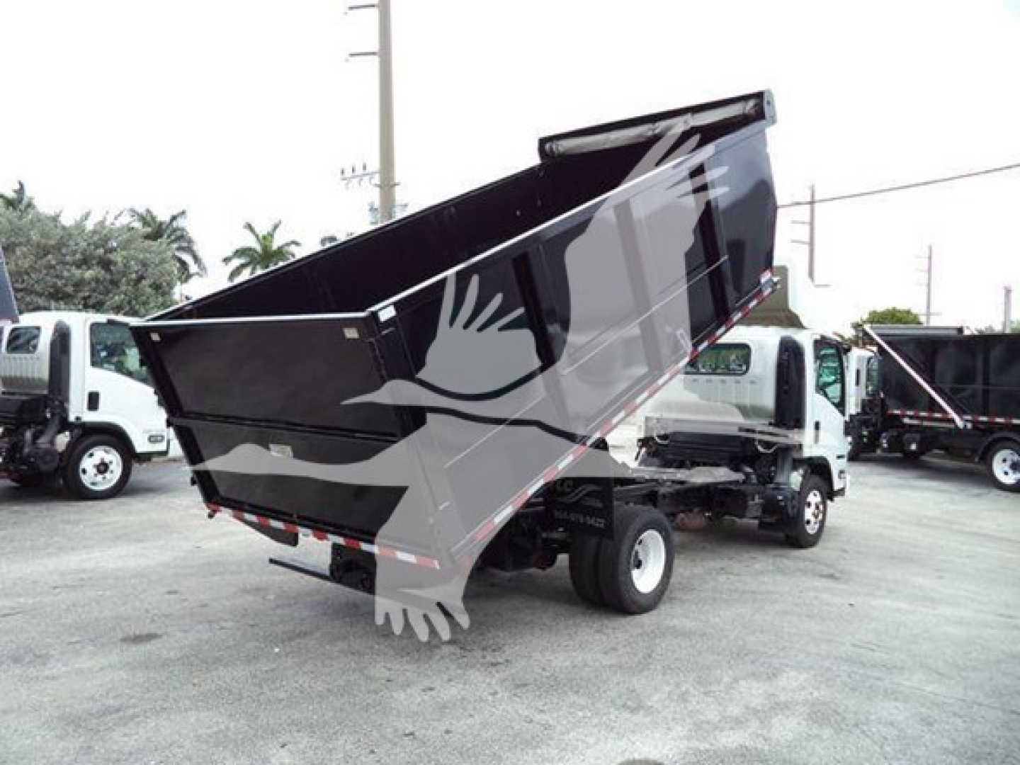 Isuzu NPR dump truck showing cargo bed raised in a dealership lot.