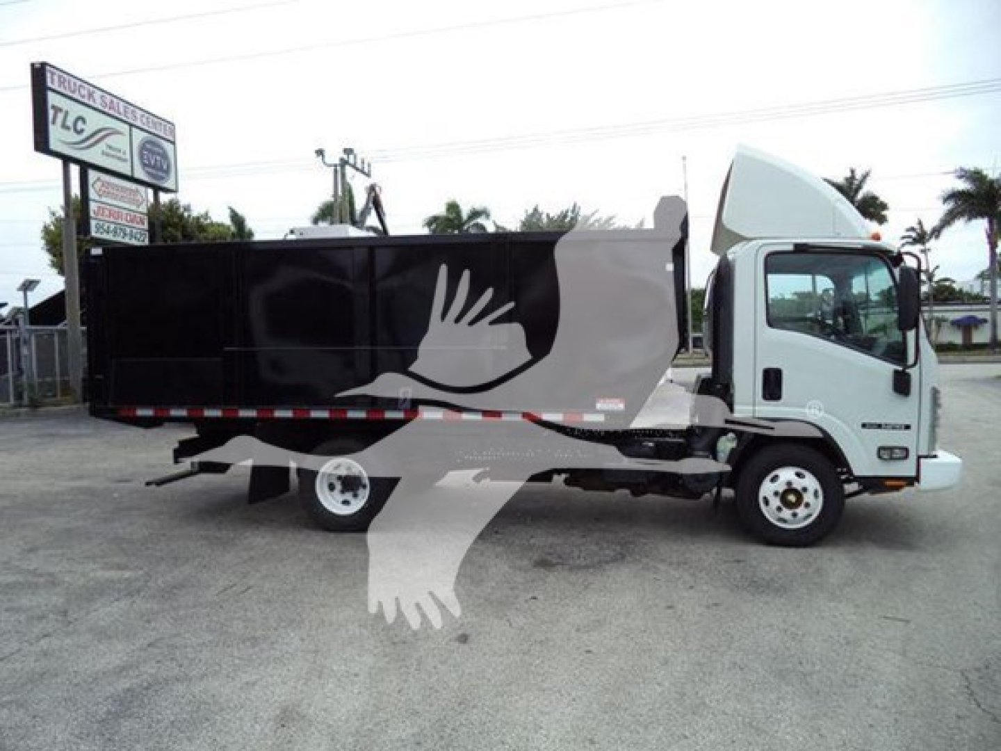 Isuzu NPR dump truck side view showing cargo bed and cab with white cabin and black dump body.