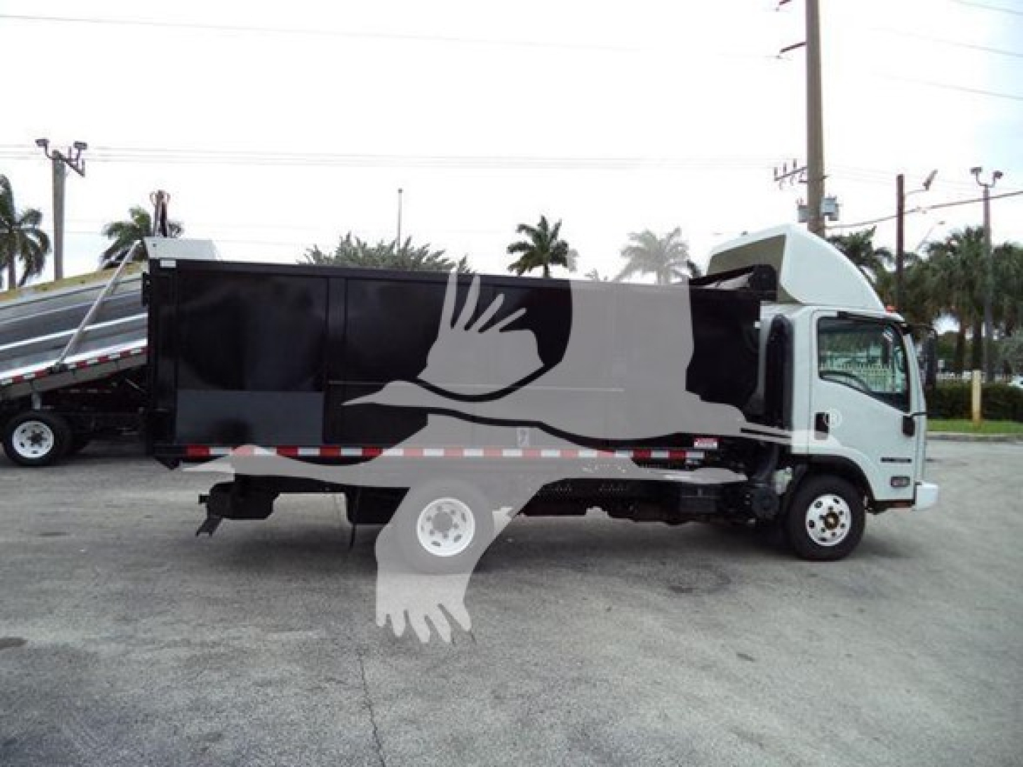 Isuzu NPR dump truck side view showing dumped cargo bed and cab in white and gray with palm trees in background.