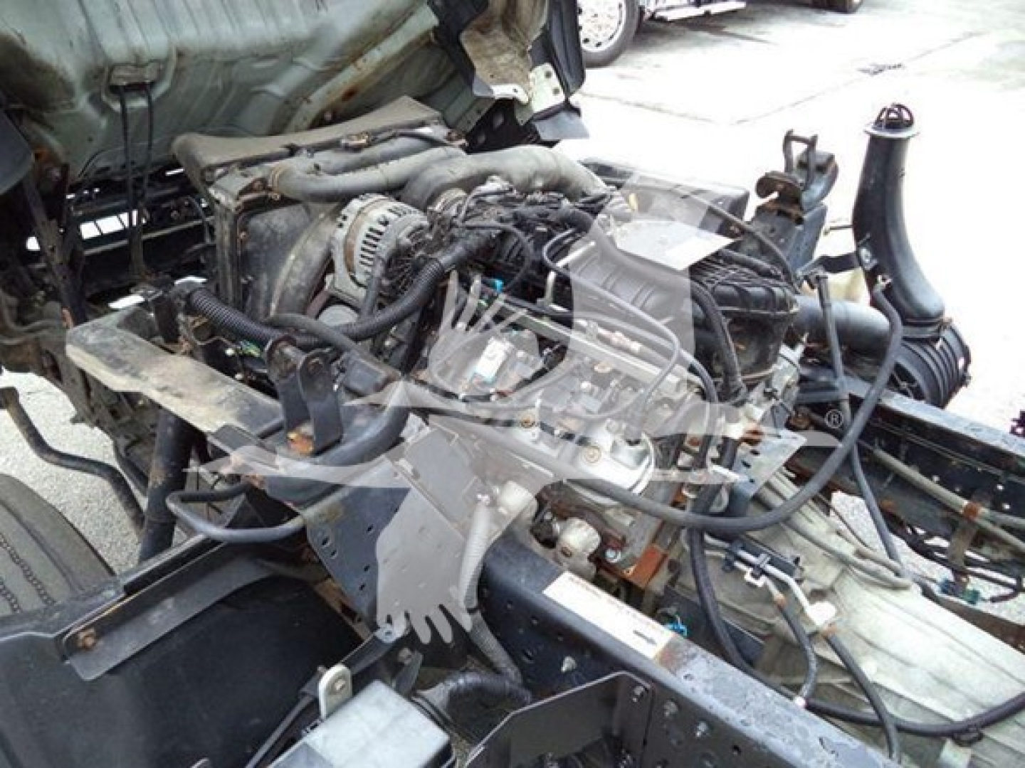 Isuzu NPR engine bay showing V-driving components and wiring harnesses.