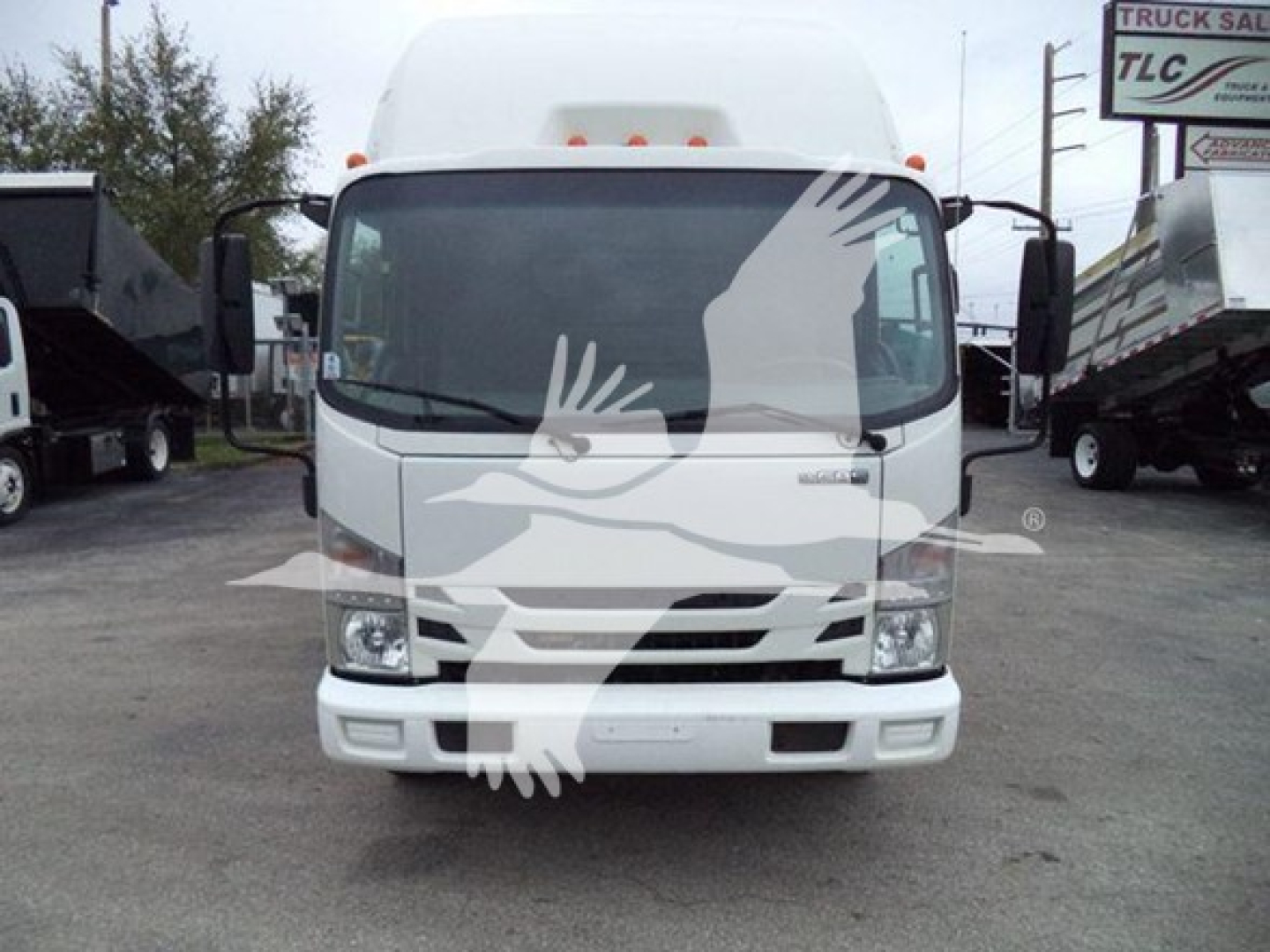 Isuzu NPR dump truck front view showing windshield, headlights, grille, and bumper with side mirrors.