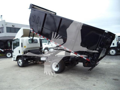 Dump truck bed tilted cab and Isuzu NPR style truck in background