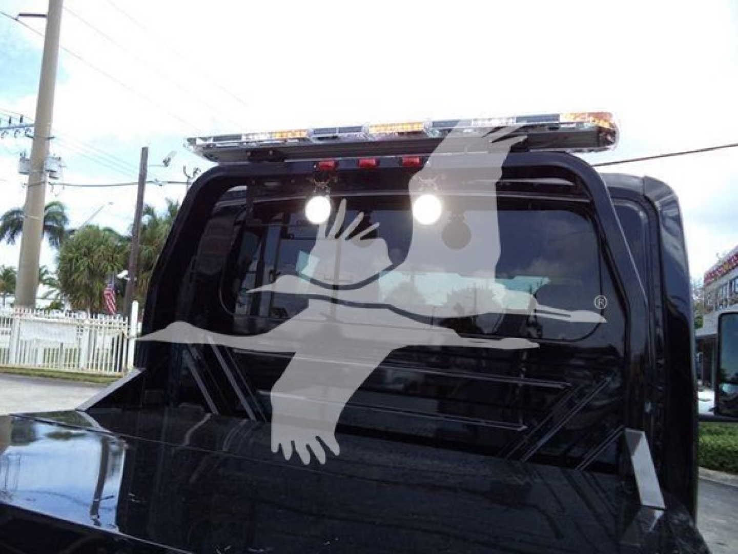 Truck bed with rear window showing a roof-mounted emergency light bar and a large white bird decal across the back window.
