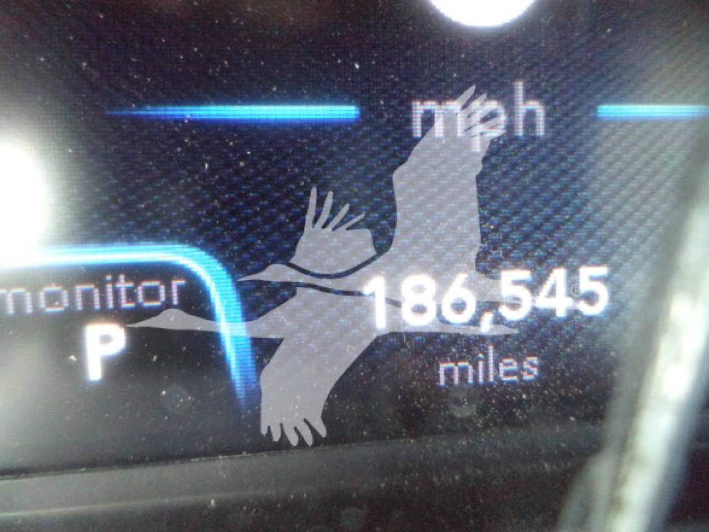 Vehicle odometer display showing 186,545 miles in mph, with birds graphic overlay and partial 'monitor' indicator and 'P' gear indicator.