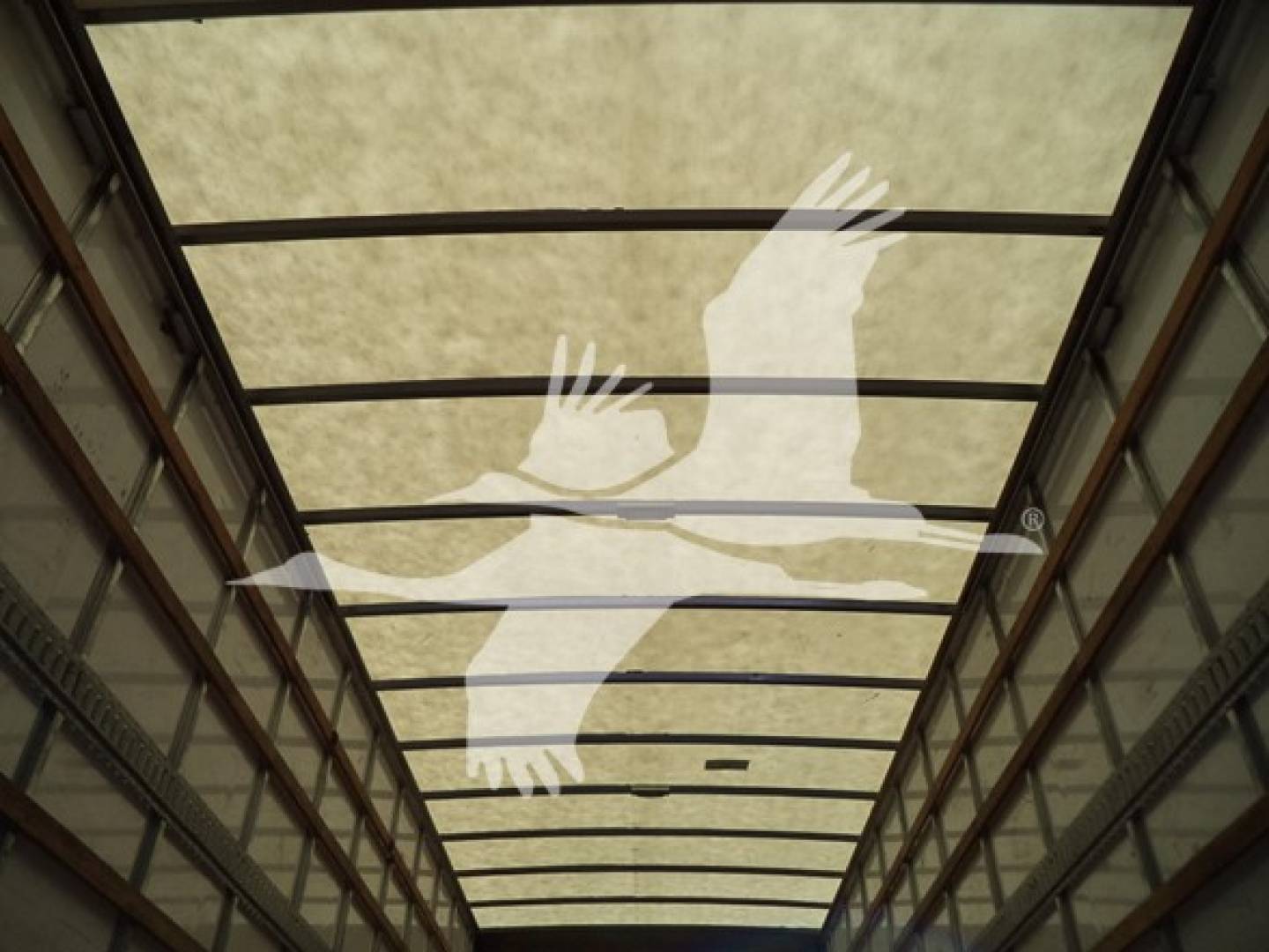 Trailer interior ceiling with grid rails and a large translucent logo of flying birds overlaying the ceiling.