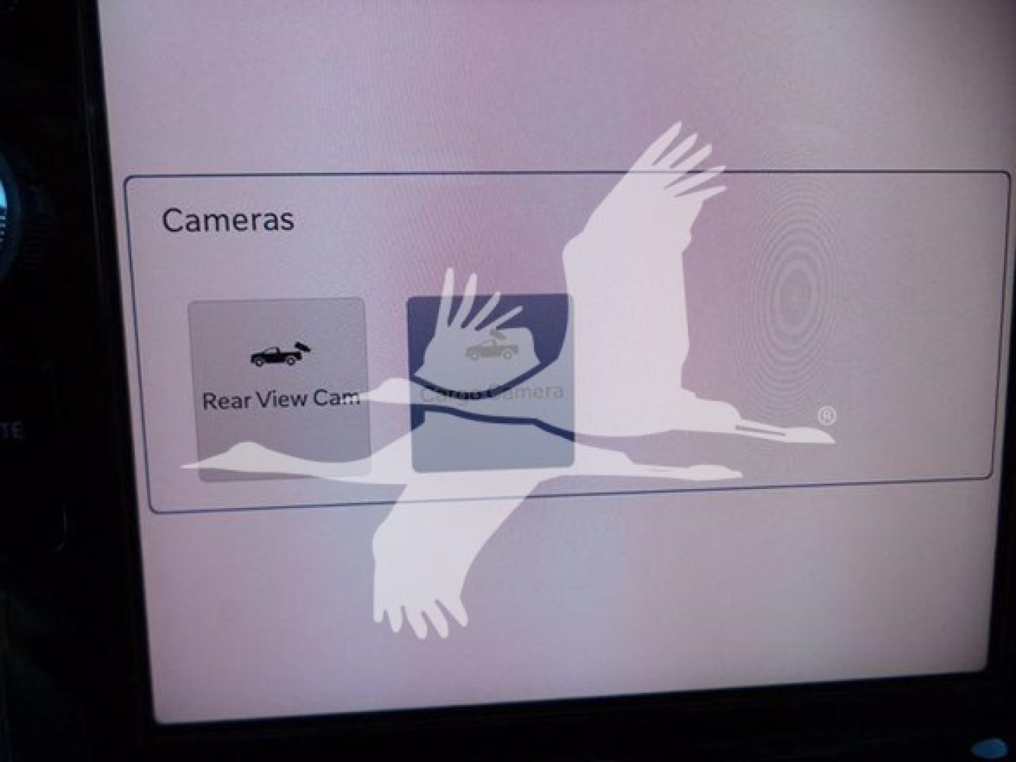 Dashboard screen showing camera options in a Ram Big Horn truck, with a split view including Rear View Camera and front camera icons, overlayed by a watermark of a bird silhouette.
