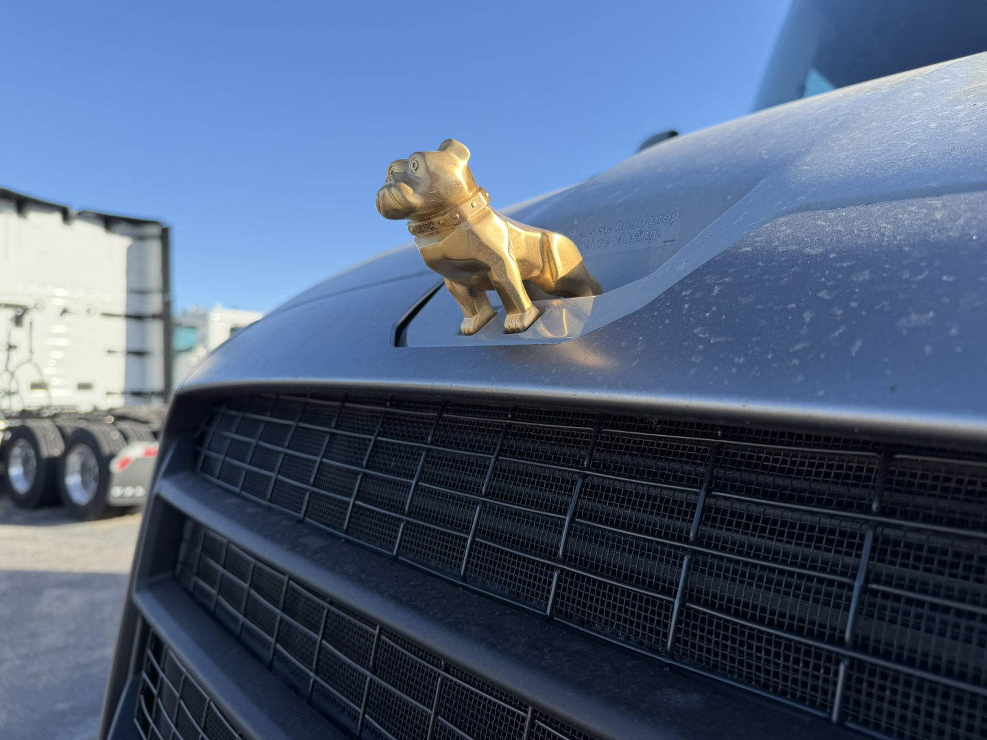 Golden bulldog hood ornament on the front grille of a Mack PR64T76H truck, close view with clear blue sky.