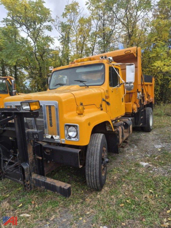 2003 International 2574 dump truck in yellow with front grille, dump bed raised, parked on grass.