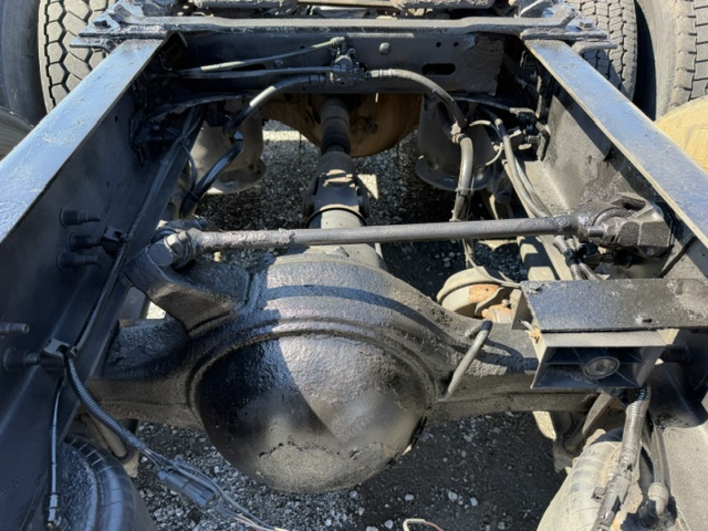 Rear underside of a Freightliner Cascadia drive axle and suspension showing differential housing and driveshaft with chassis rails.