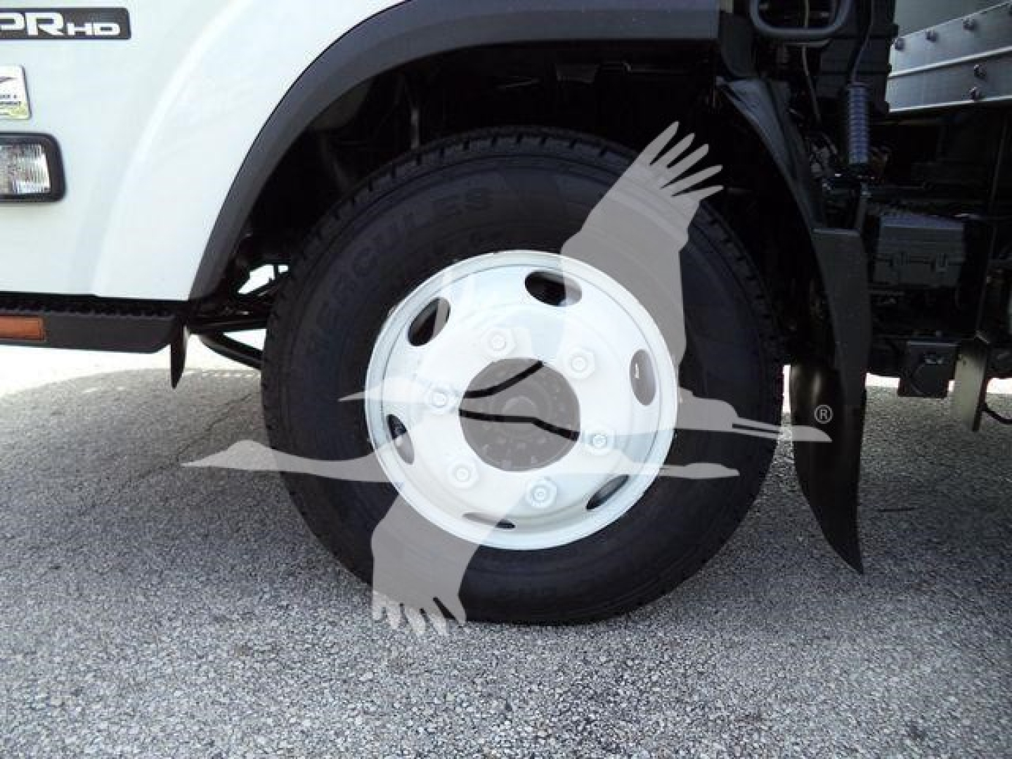 Isuzu NPR HD wheel and tire on front left with white steel rim and hubcap, front fender visible.