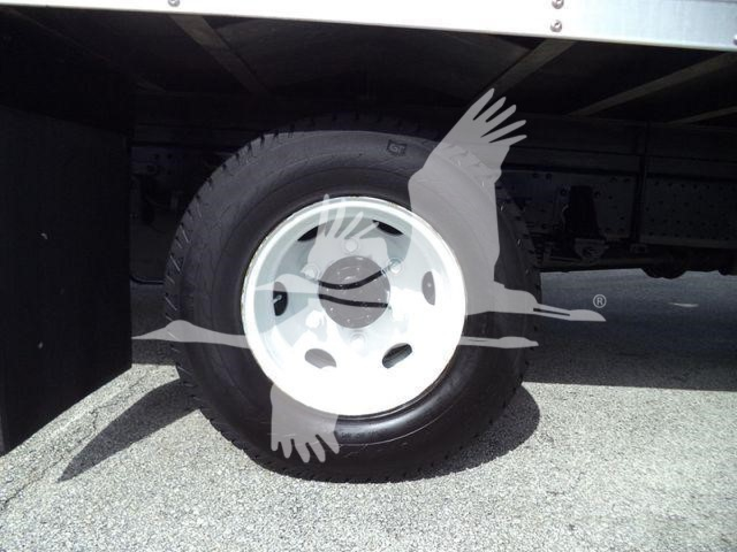 Isuzu NPR-HD truck wheel showing steel rim and tire under cargo box.