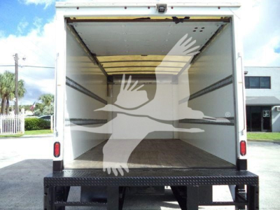 Isuzu NPR HD truck cargo area with empty box trailer interior; open rear doors; stock yard with logo watermark of birds across image.