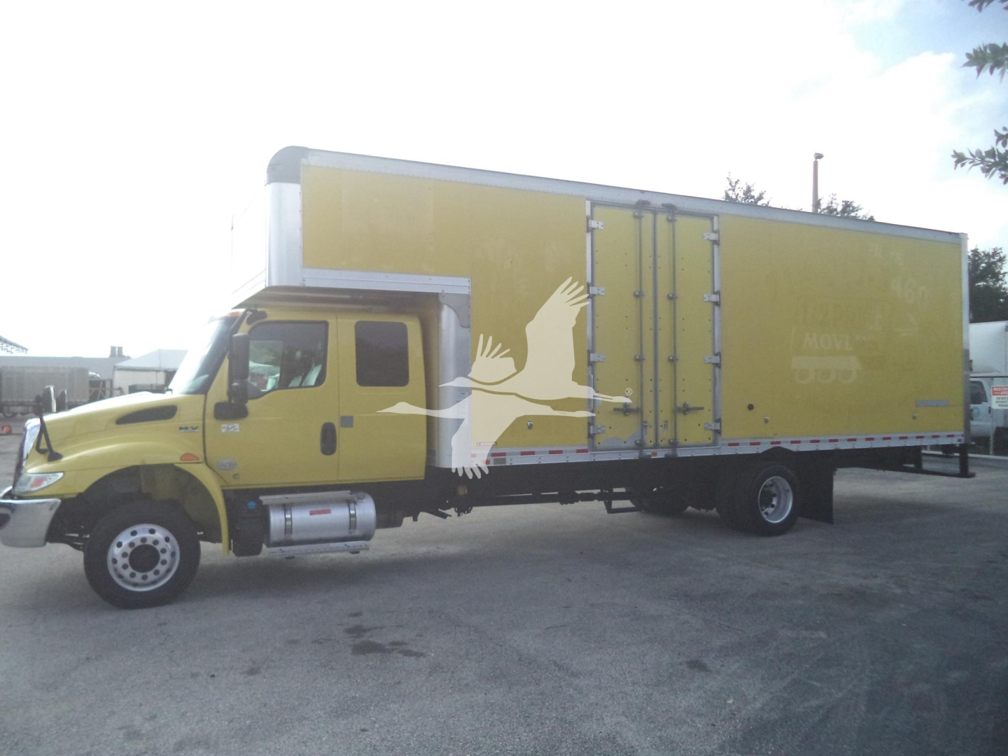 Truck cab and large box trailer in yellow, side view, with a white bird graphic on the box.