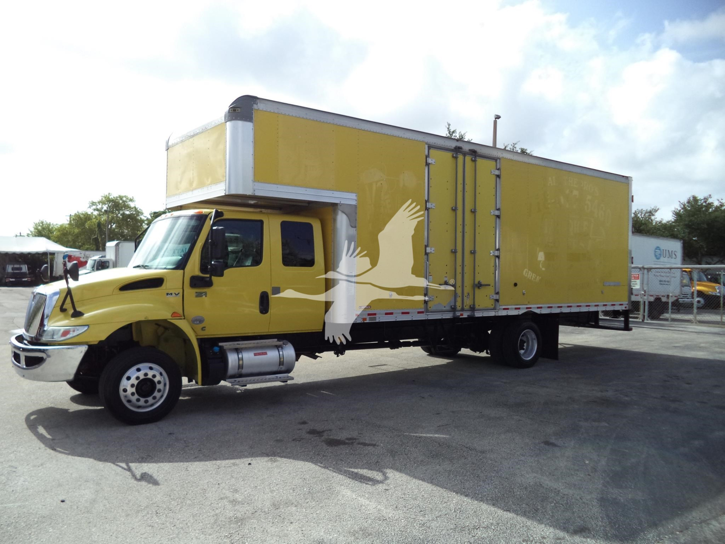 Yellow moving box truck with a large cargo box, cab-over style, side graphic of a white bird. The truck is parked in a lot.