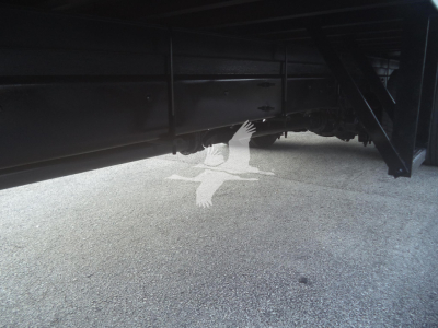 Underneath view of a 2020 International MV moving van showing chassis and undercarriage components.
