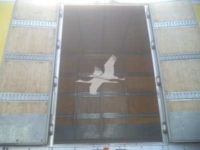 Truck trailer back opening showing empty cargo area with metal frame and wooden interior.