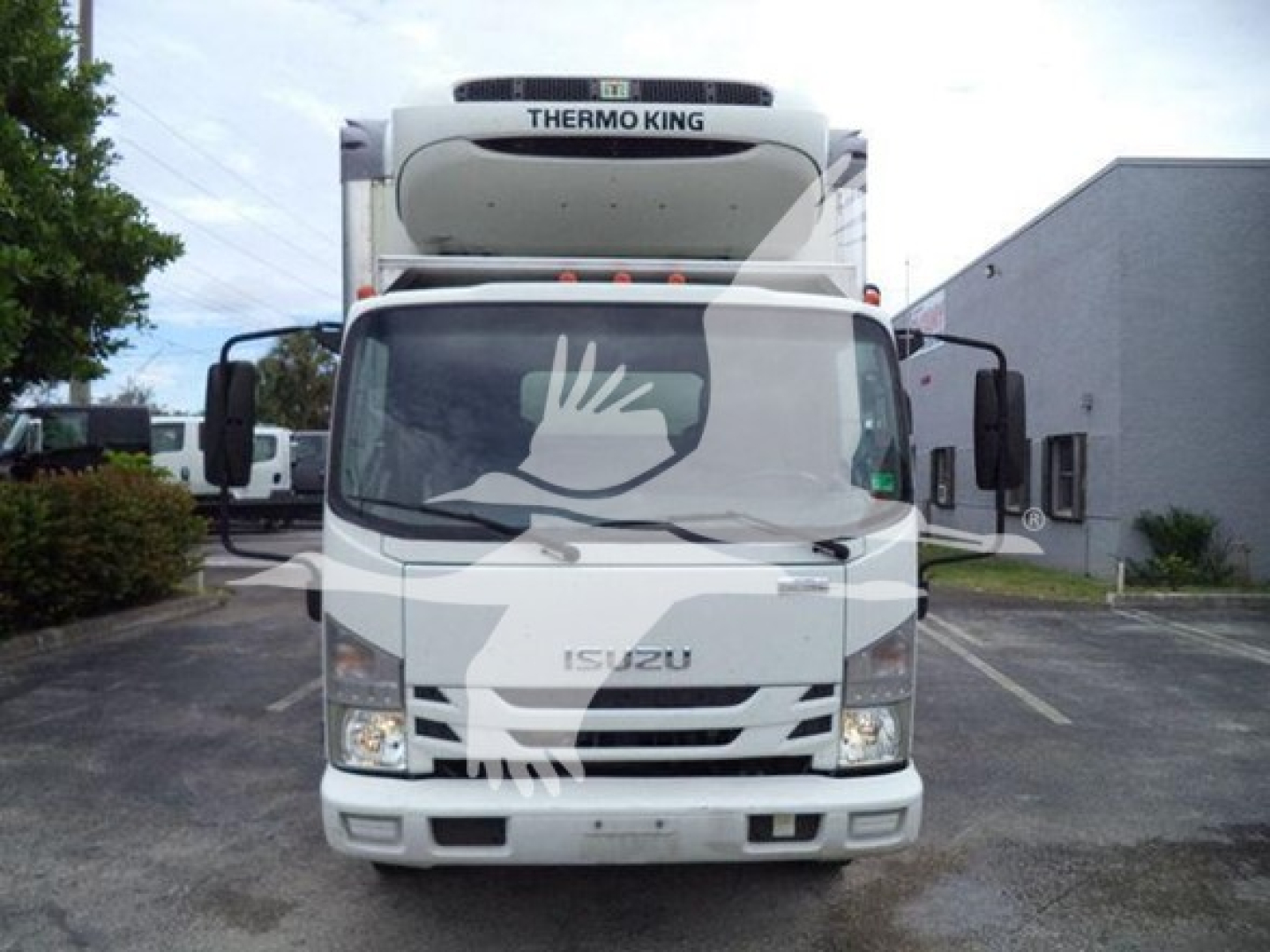 Isuzu refrigerated truck front view with Thermo King unit on top; Isuzu emblem on grille; headlights visible; white body.