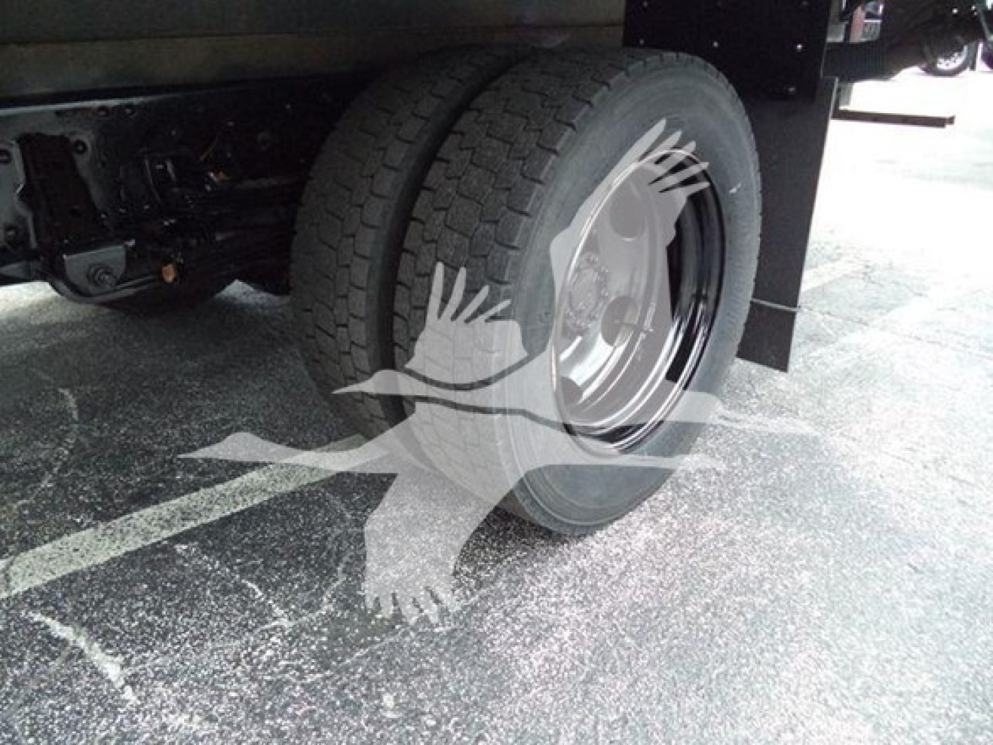 Isuzu NQR truck rear wheel and suspension view showing dual rear tire and wheel well.