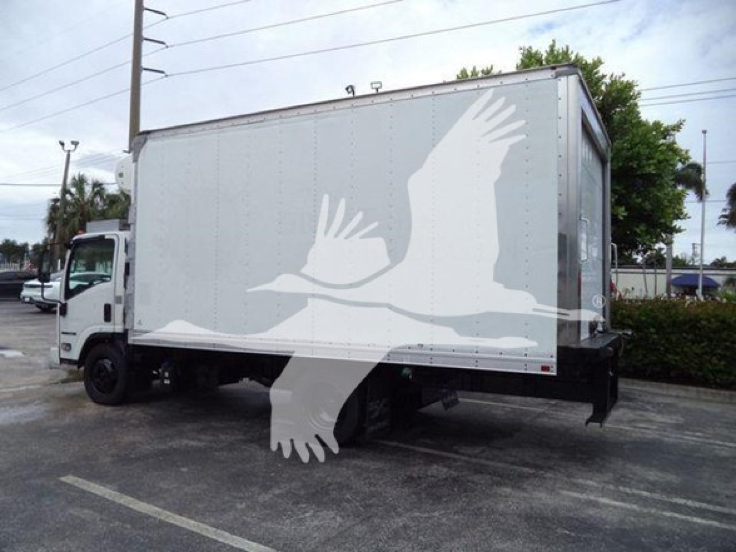 Isuzu NQR refrigerated box truck in-service showing cargo area side with white graphic of birds; cab visible left, rear wheels and undercarriage visible.