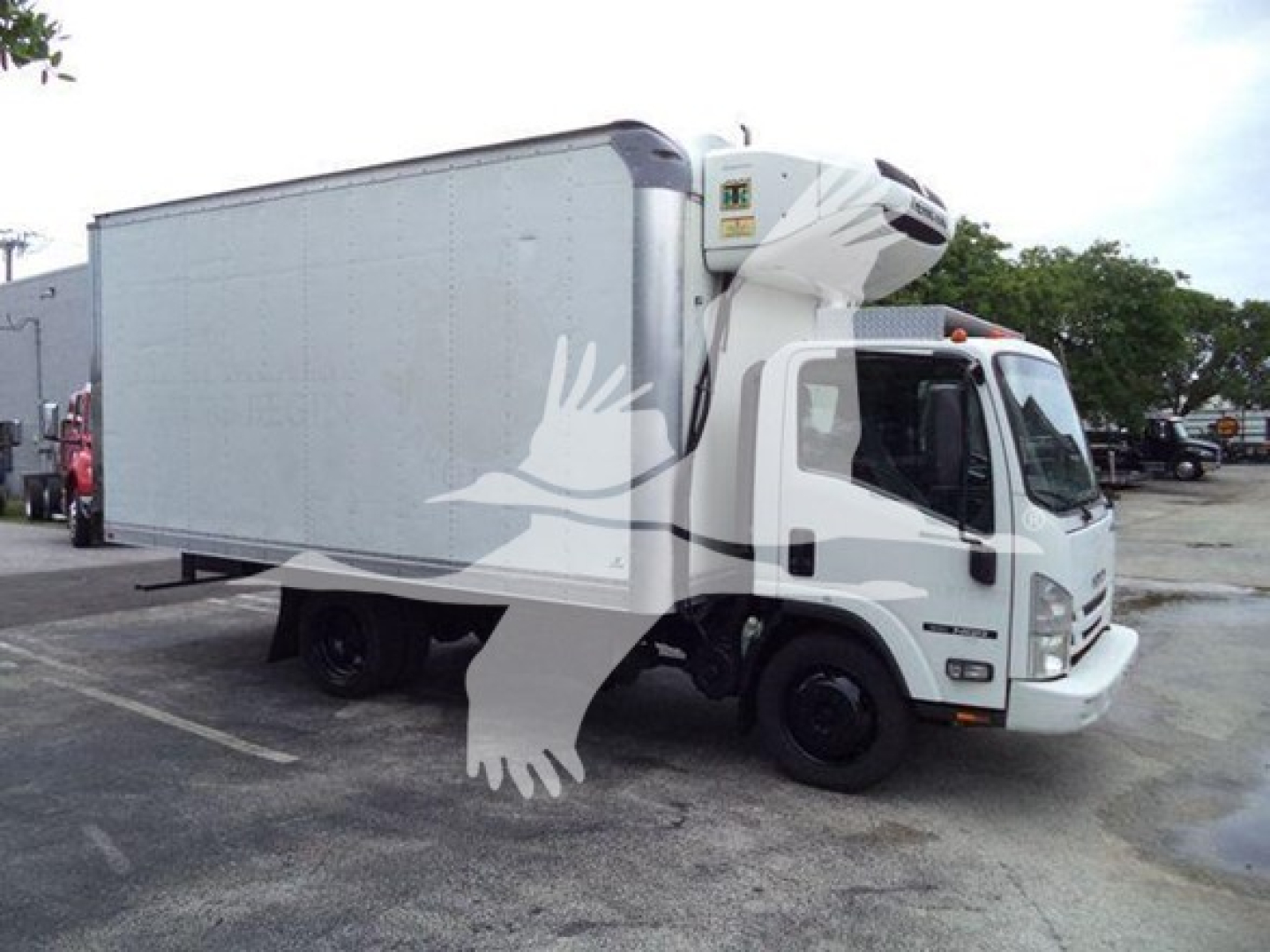 Isuzu NQR refrigerated truck with a side box and cab, cargo area, and front grille visible.