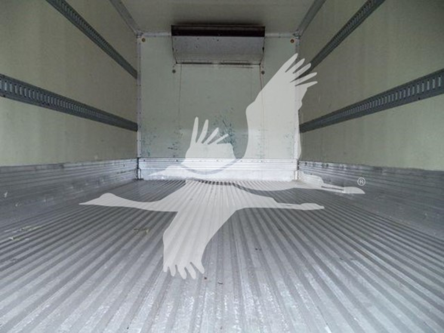 Isuzu NQR truck cargo area interior with ribbed metal floor and sidewalls. White overlay graphic of a bird in flight. No visible labels or markings inside.