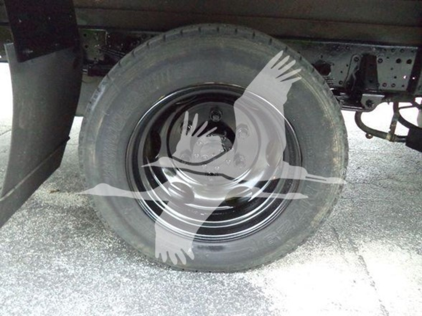 Isuzu NQR wheel and tire view in the left rear area showing steel rim and tire inside a refrigerated truck chassis.
