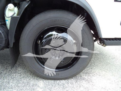 Isuzu NQR wheel and front fender area showing Bridgestone tire and wheel well; coolant reservoir and cab area visible.
