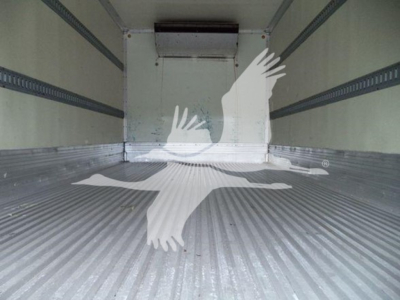 Isuzu NQR truck cargo area interior with ribbed metal floor and sidewalls. White overlay graphic of a bird in flight. No visible labels or markings inside.