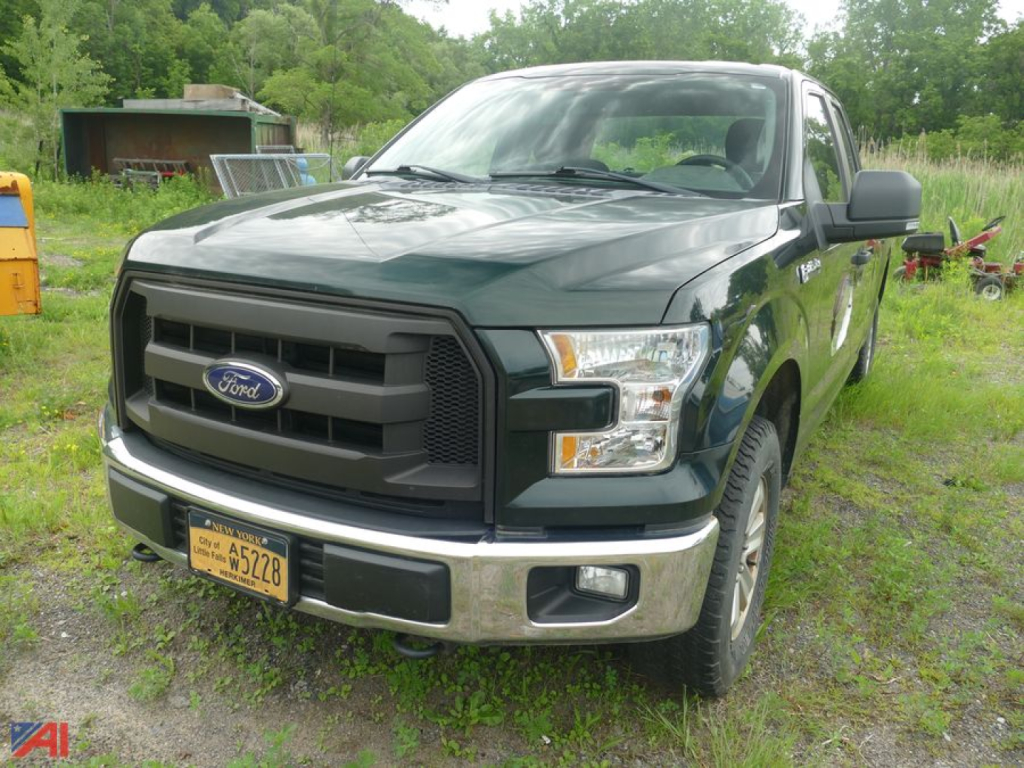 Ford F-150 pickup truck in a grassy lot showing front view with yellow license plate and green body.