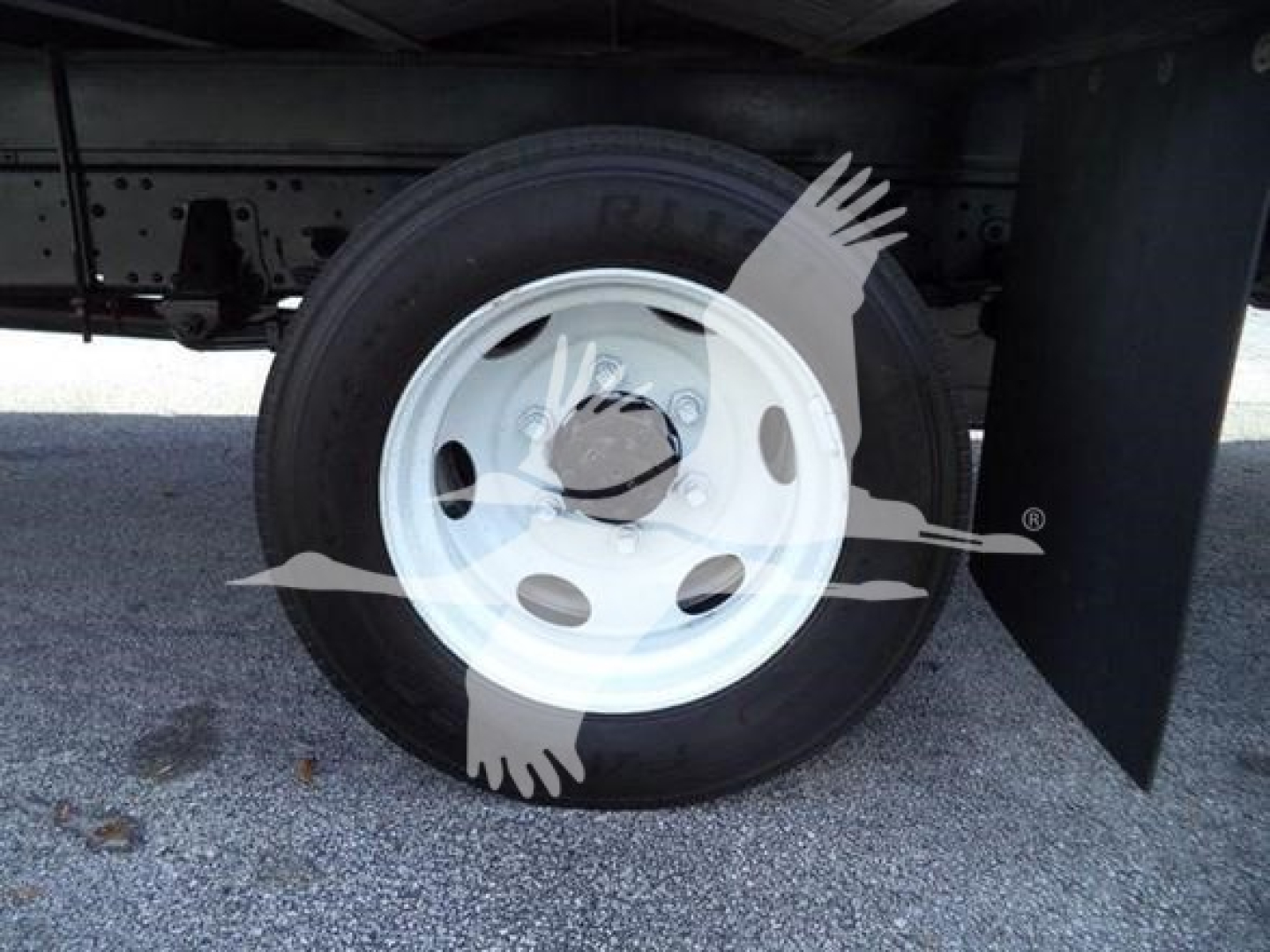 Isuzu NRR truck wheel and tire shown under the rear of the vehicle.