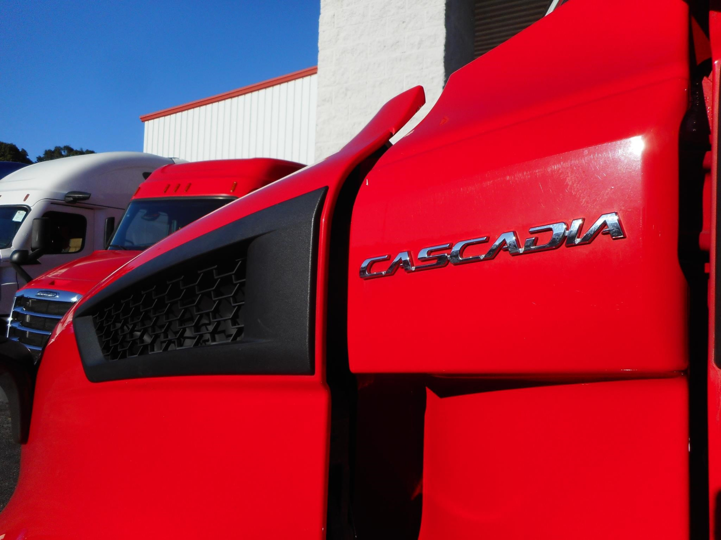 Freightliner Cascadia 116 emblem on red truck cab side, close-up view with other trucks in background.