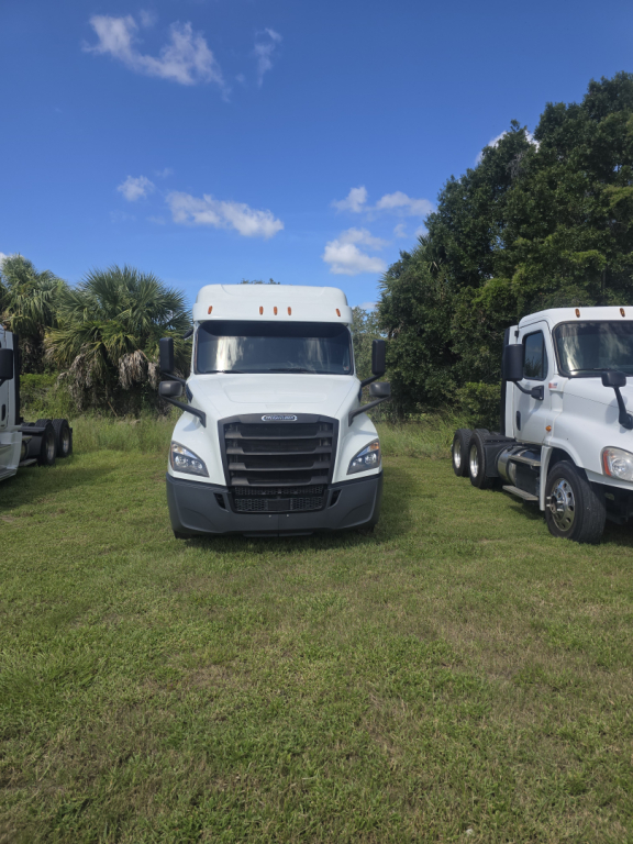 Truck front view of a white Freightliner Cascadia conventional sleeper in a grassy lot, with another white truck beside and clear blue sky.