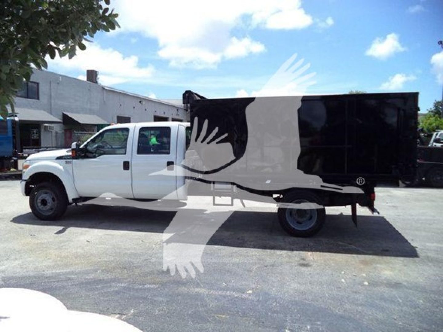 Ford F-550 dump truck side view with white cab and black dump bed, dealership lot in background.