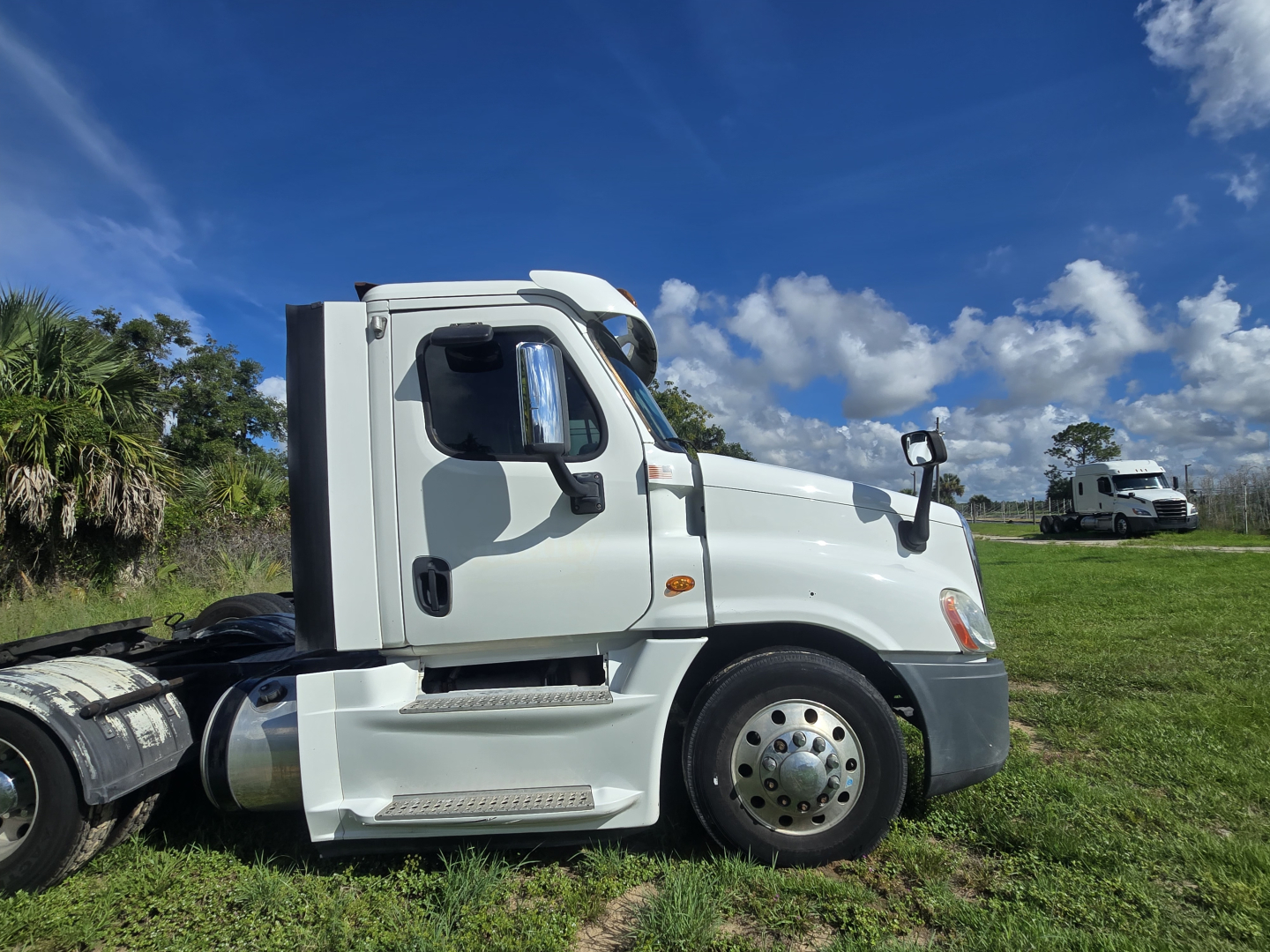Cascadia 125 day cab truck side profile showing white exterior, wheel, mirror, and fuel tank.