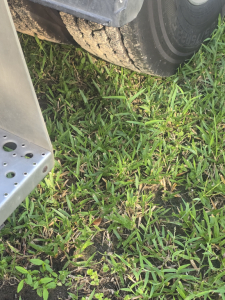 Truck wheel and green grass with trailer hitch and metal frame visible; no legible labels or serial numbers.