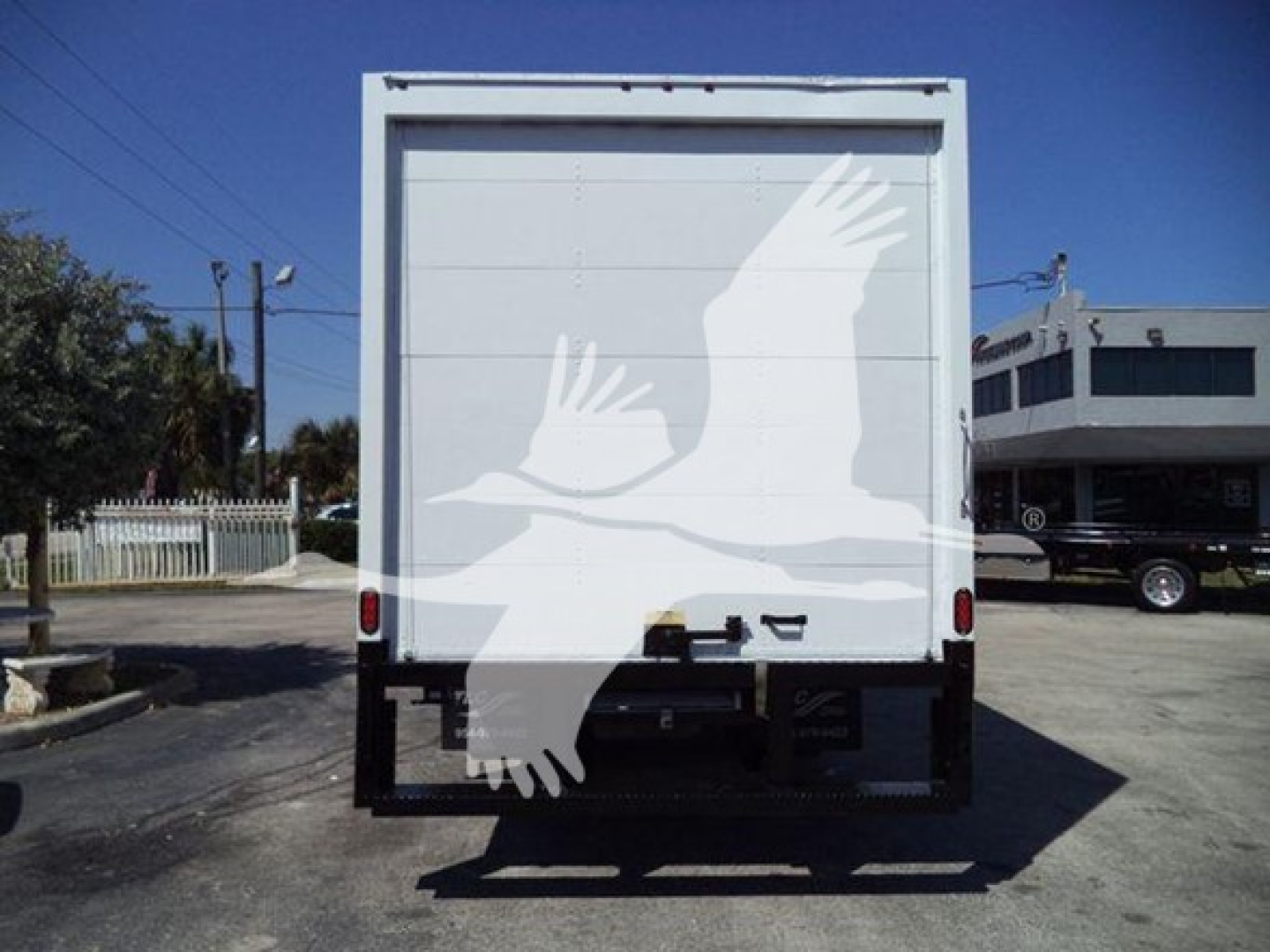 Rear view of a box truck with a white cargo area and a black underride bumper. A stylized white bird graphic is overlaid on the back doors. No legible text visible on the doors.