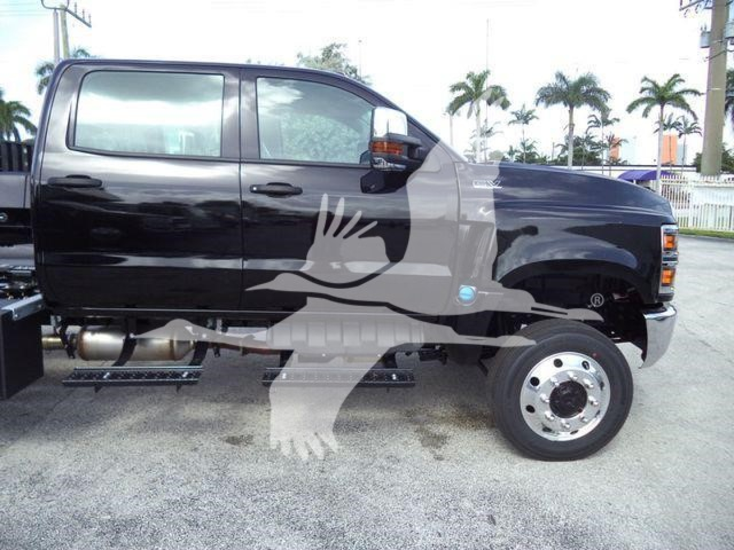 Truck side view showing a black 2023 International CV rollback truck with dual rear wheels and chrome exhaust, stock number J19810FM.