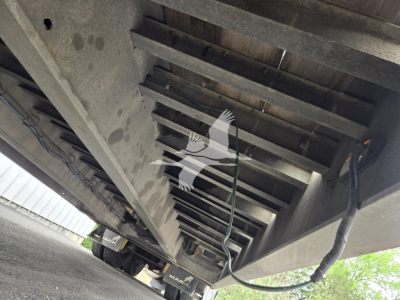 Trailer undercarriage showing support beams and electrical lines from a Landoll trailer.