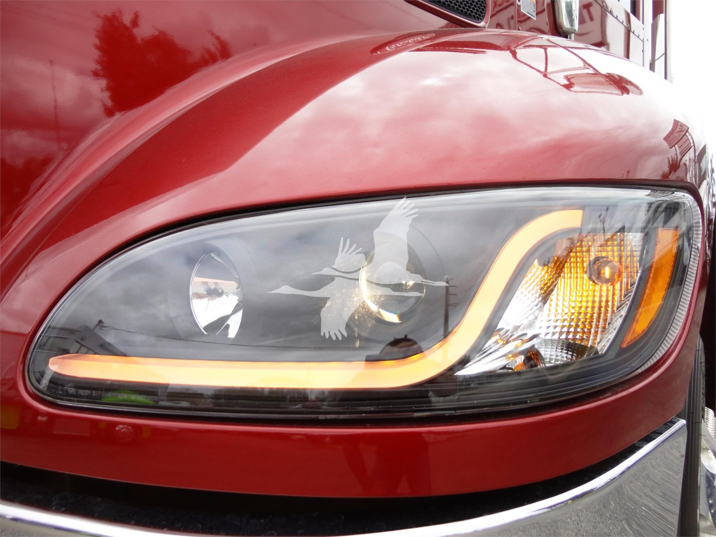 Peterbilt 337 headlight area with maroon exterior coat and LED accent around the headlamp.