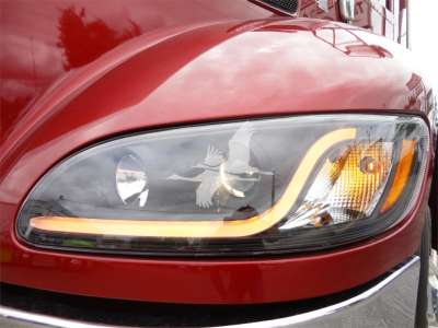Peterbilt 337 headlight area with maroon exterior coat and LED accent around the headlamp.