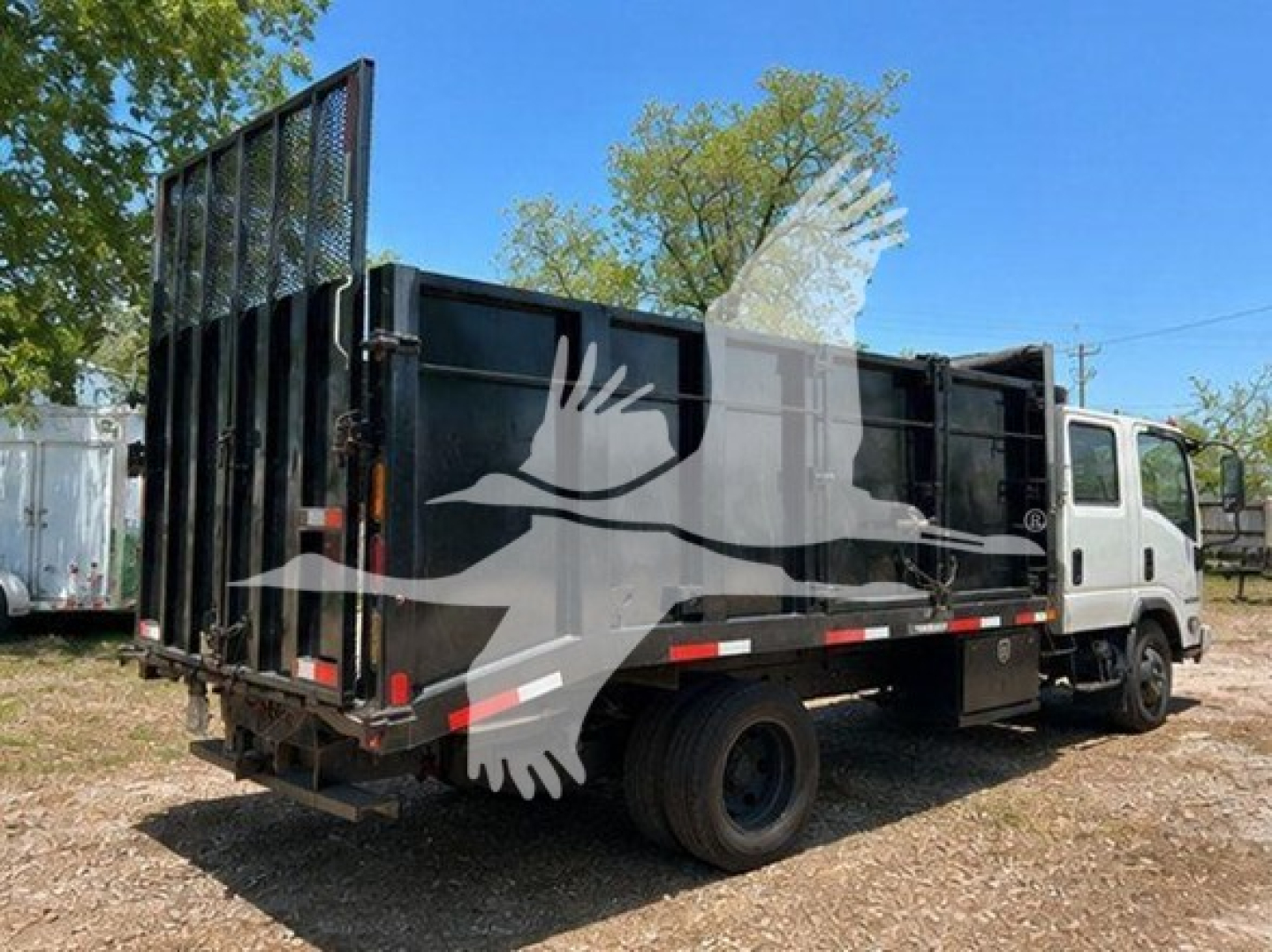 Isuzu NPR HD dump truck side view showing dump bed and rear gate with white 'bird' watermark overlay.