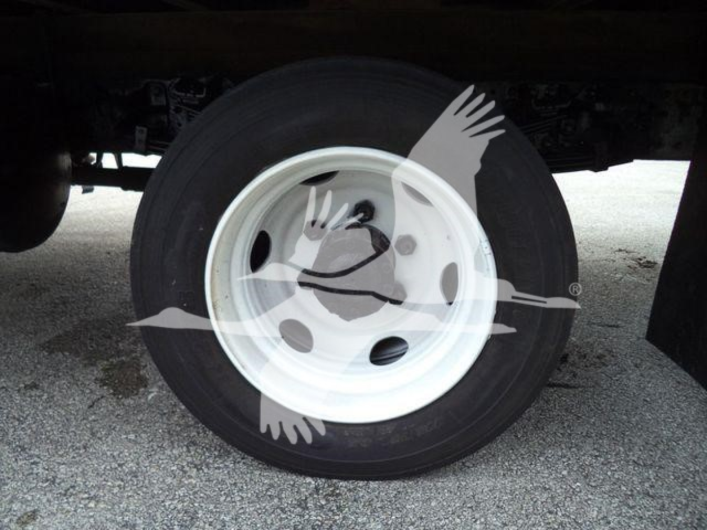 Wheel/tire and rim under a refrigerated truck showing a plain white steel wheel with black tire.