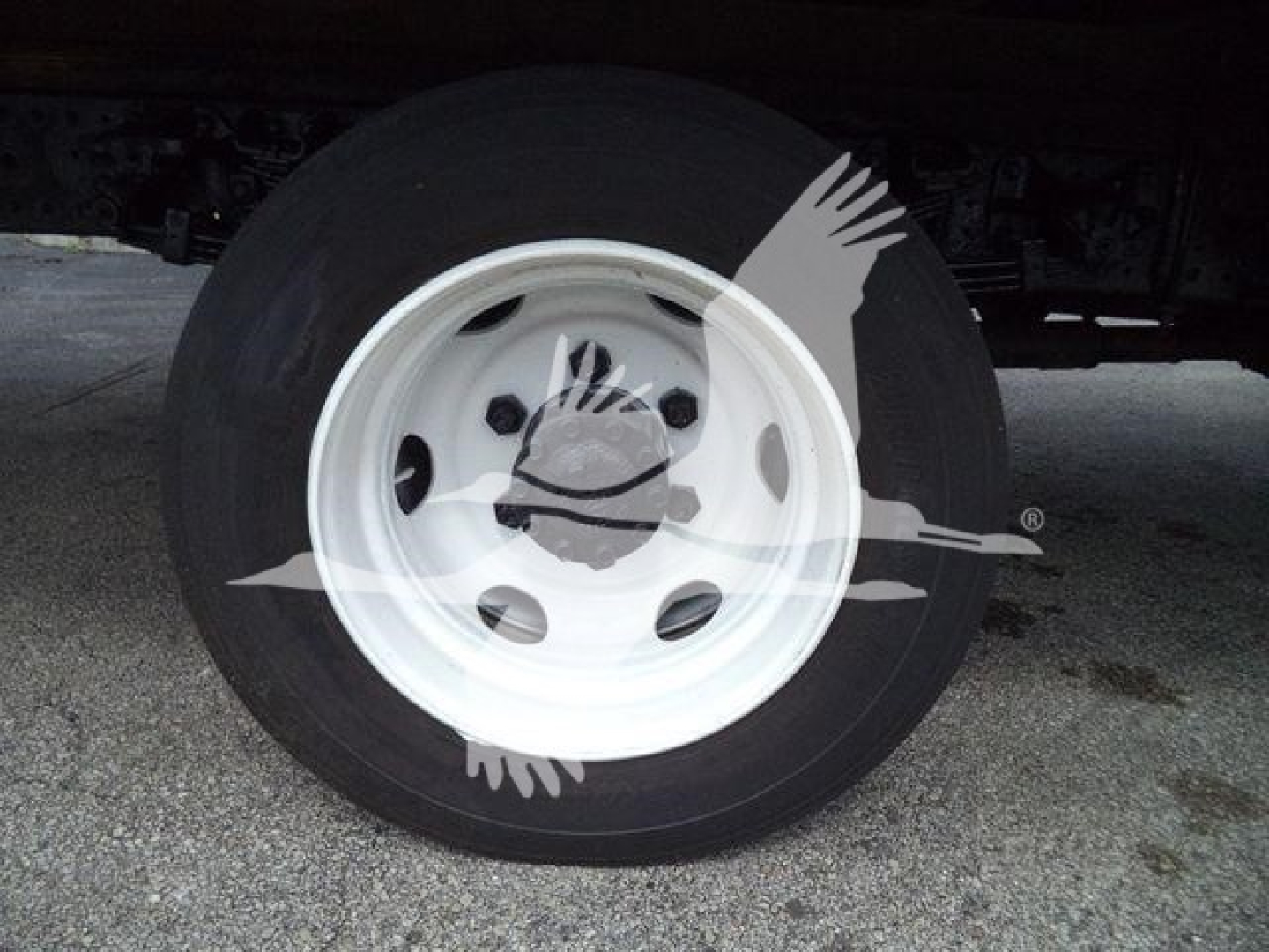 Wheel and tire of a refrigerated truck, white steel rim with vent holes; portion of undercarriage visible.